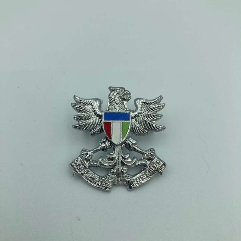 Regiment N/Natal Collar Bagde