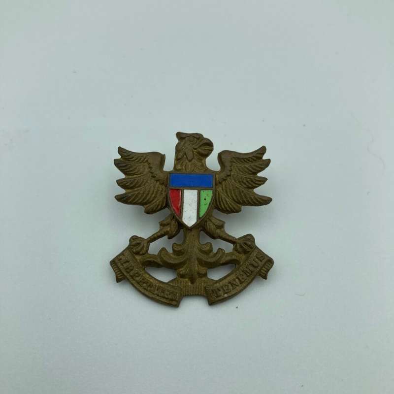 Regiment N/Natal Collar Badge