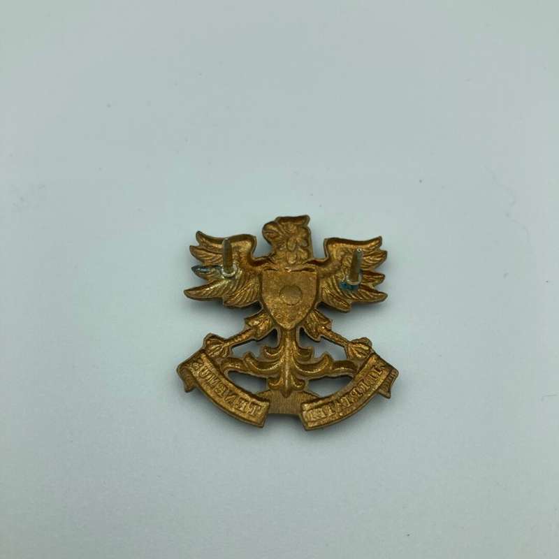 Regiment N/Natal Collar Badge