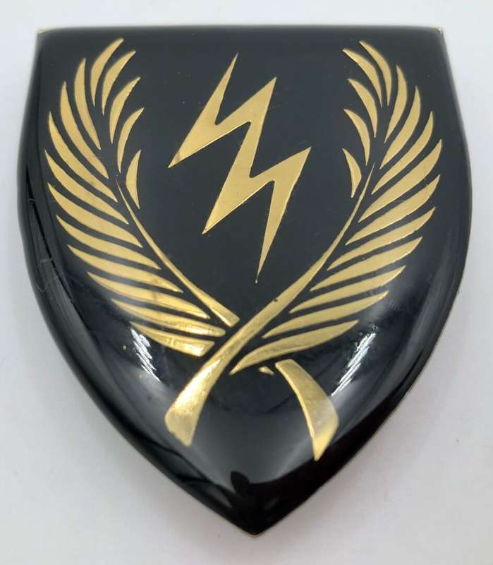 11 SAI battalion metal shoulder flash