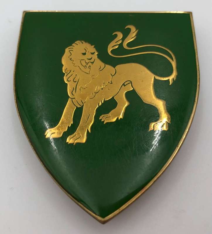 Hillcrest regiment (left) metal shoulder flash