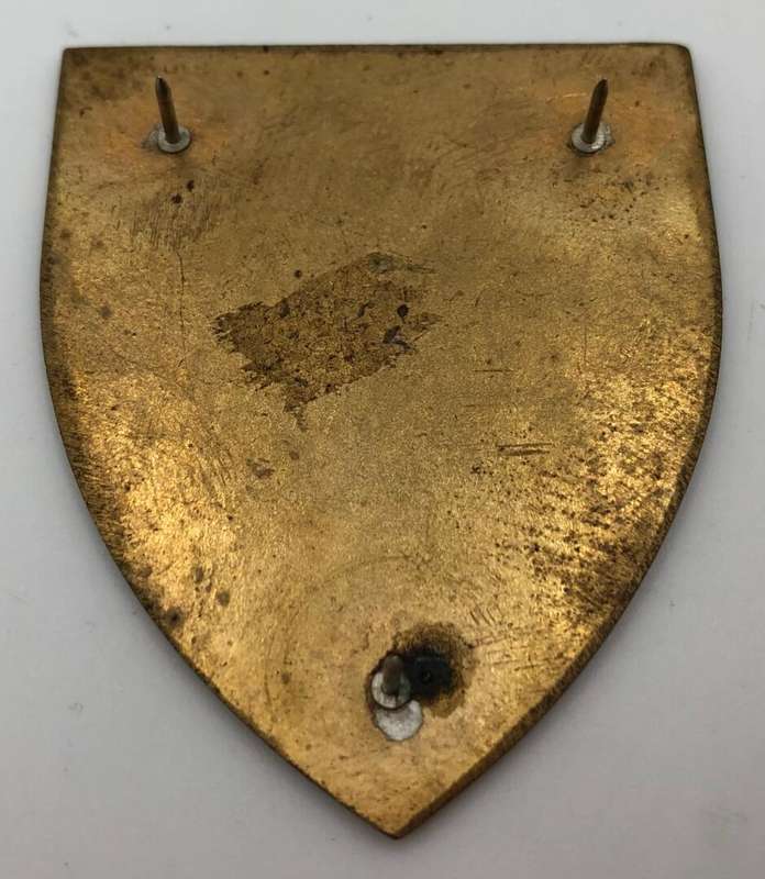Hillcrest regiment (left) metal shoulder flash
