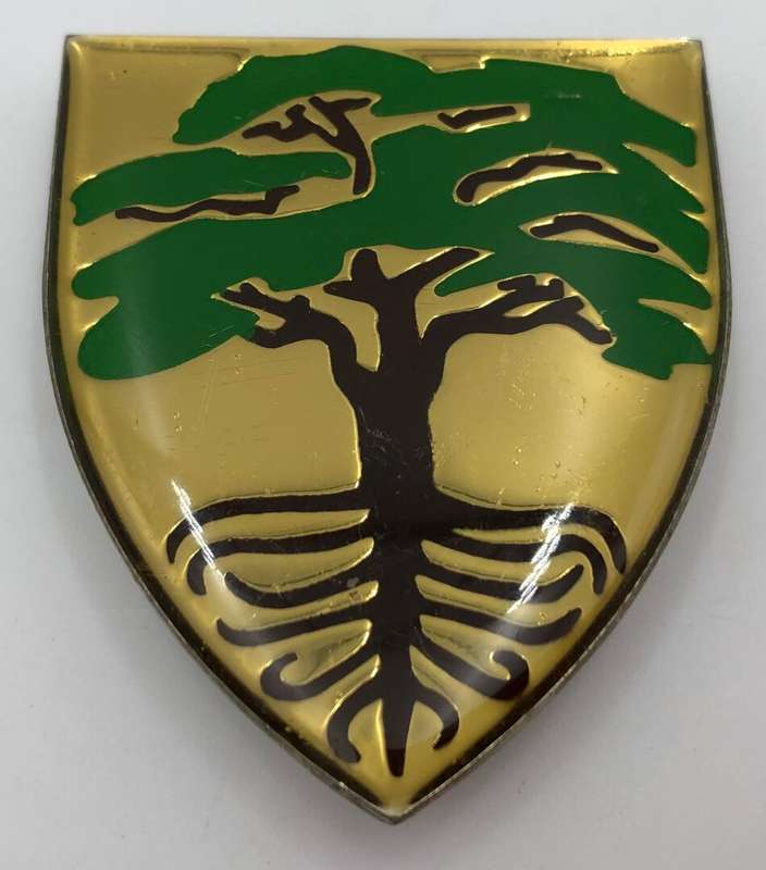 Goosen/ Mafikeng commando metal shoulder flash