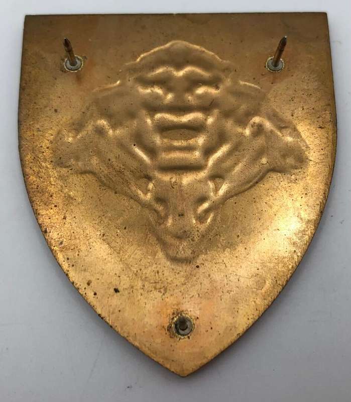 SANDF pride of the nation metal shoulder flash