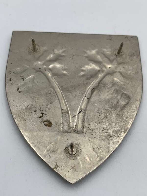 South West Africa Signal Unit Battalion Metal Flash