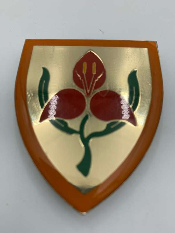 SADF SA Mil. Academy 2nd Type Step Out Metal Flash