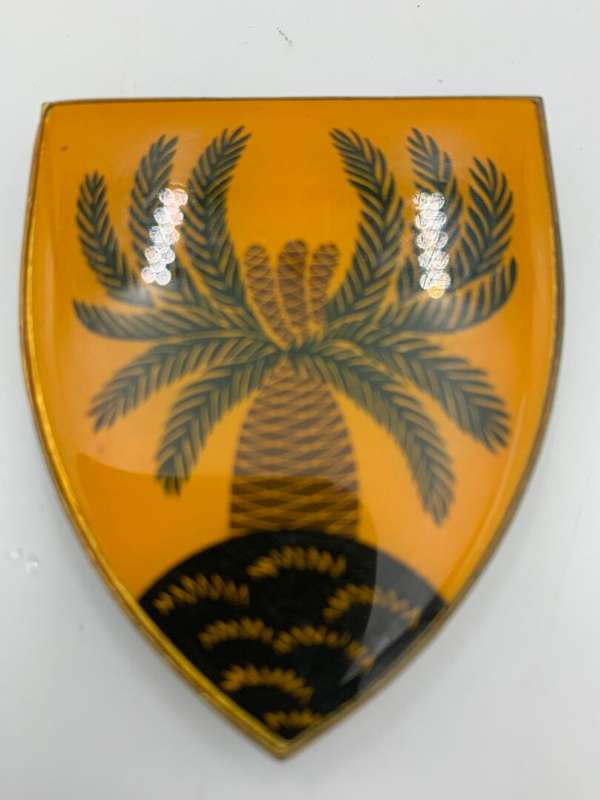 SADF 4 SAI Batt. Step Out Metal Flash