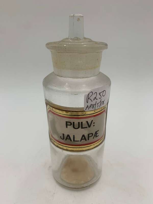 Antique Glass Apothecary Bottle with Lid - PULV. JALAPAE