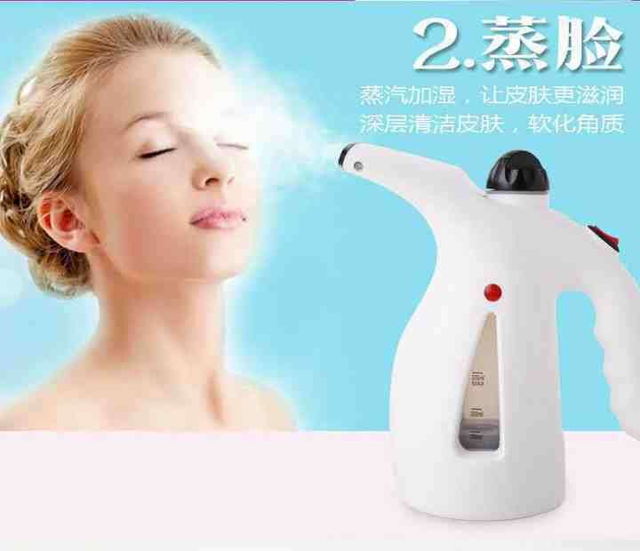 Portable Handheld Garment Facial Steamer Hanging Iron Steam Ironing Machine Home Portable Ironing Ma