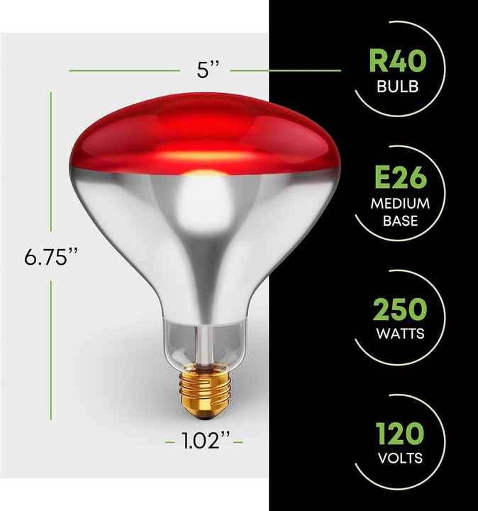 Warming Bathroom Red Heat Lamp Thermal Lamp Livestock Heating Pet Infrared Amphibian Heating Lamp