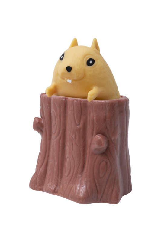 Pop Up Squirrel