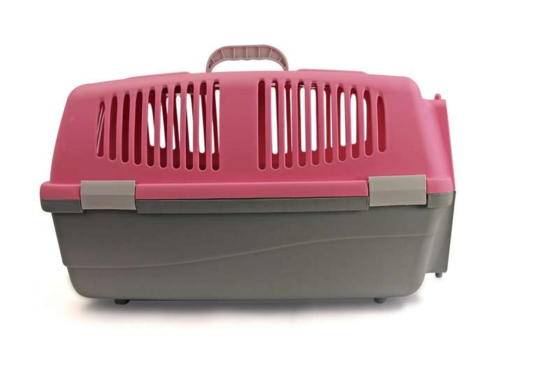 Rex - Pet Travel Case - Small - Pink