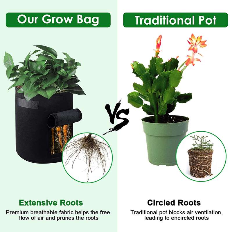 Grow-in-a-Bag