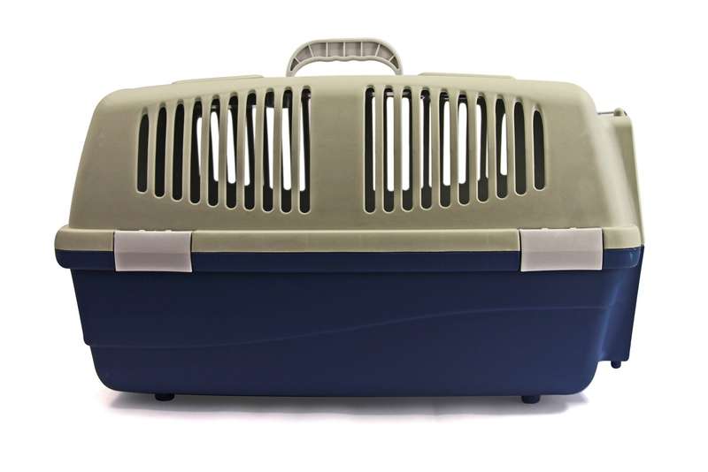 Rex - Pet Travel Case - Large - Grey