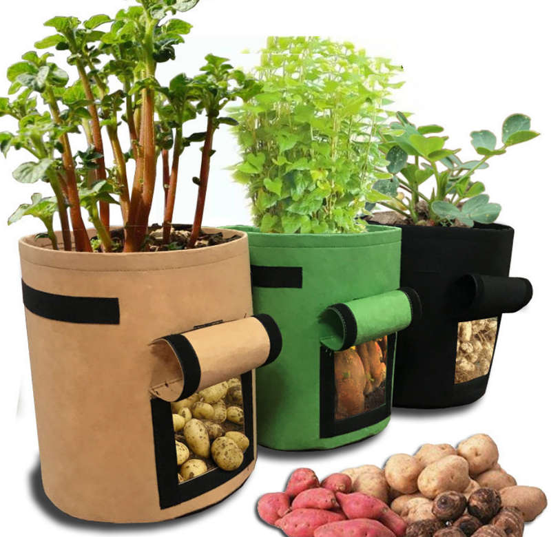 Grow-in-a-Bag