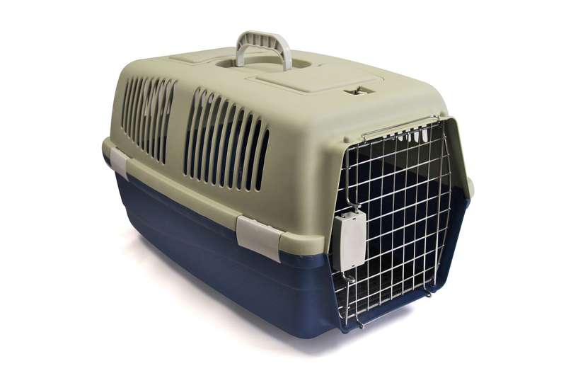 Rex - Pet Travel Case - Large - Grey