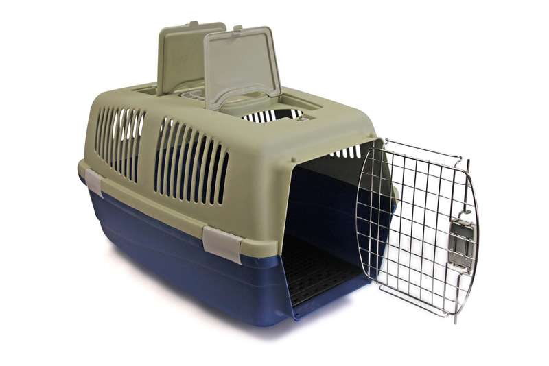 Rex - Pet Travel Case - Large - Grey
