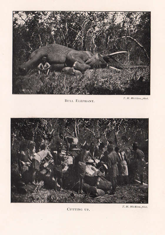 The Great Plateau of Northern Rhodesia. Being some impressions of the Tanganyika Plateau. (1911)