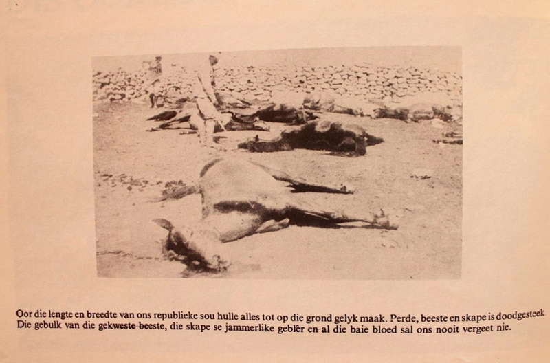 Kampkinders, 1900-1902: `n Gedenkboek (new)