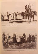 Kampkinders, 1900-1902: `n Gedenkboek (new)