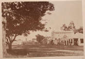 Young Pretoria 1889-1913