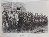The '96 rebellions The British South Africa Company Reports on the Native Disturbances in Rhodesia