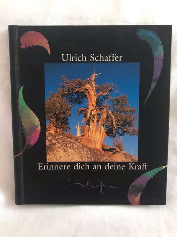 Erinnere dich an deine Kraft - Ulrich Schaffer