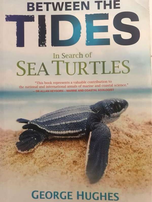Between the Tides, In Search of Sea Turtles - George Hughes