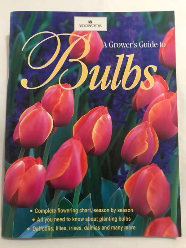 Bulbs - Margaret Hanks