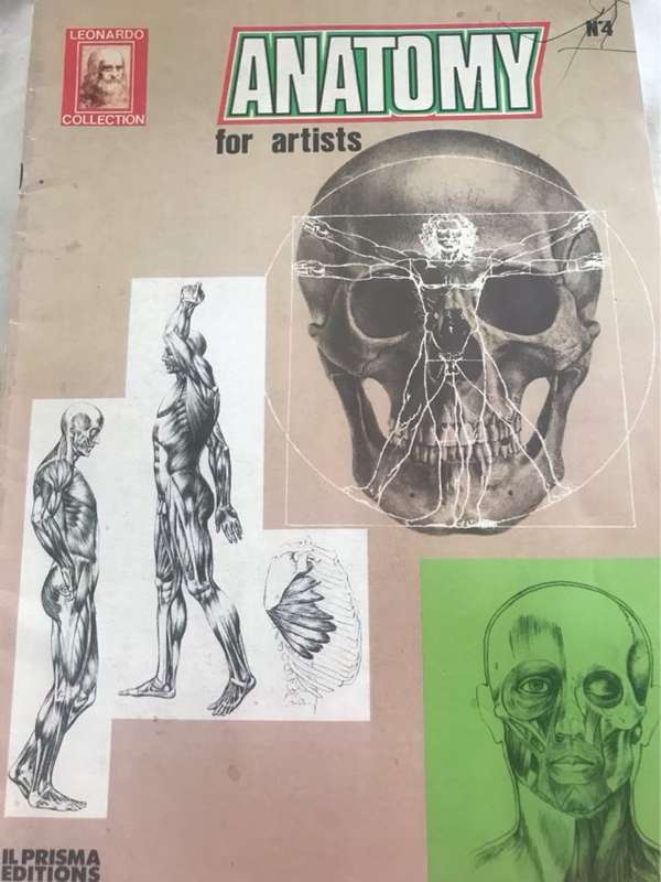 Anatomy for Artists - Leonardo