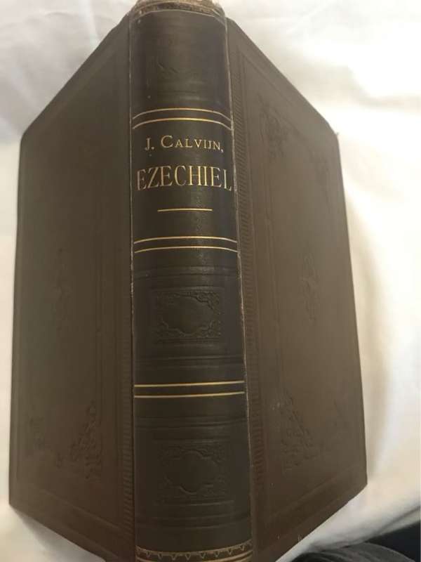 De Profeten van EzechielHoofstuk 1-XX - Johannes Calvyn(verklaard door)