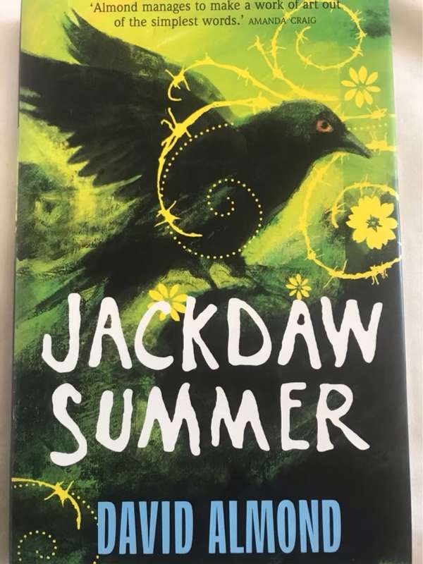 Jackdaw Summer - David Almond