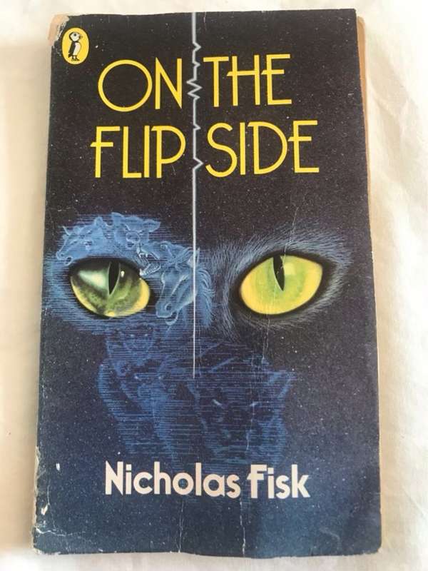 On the Flip Side - Nicholas Fisk