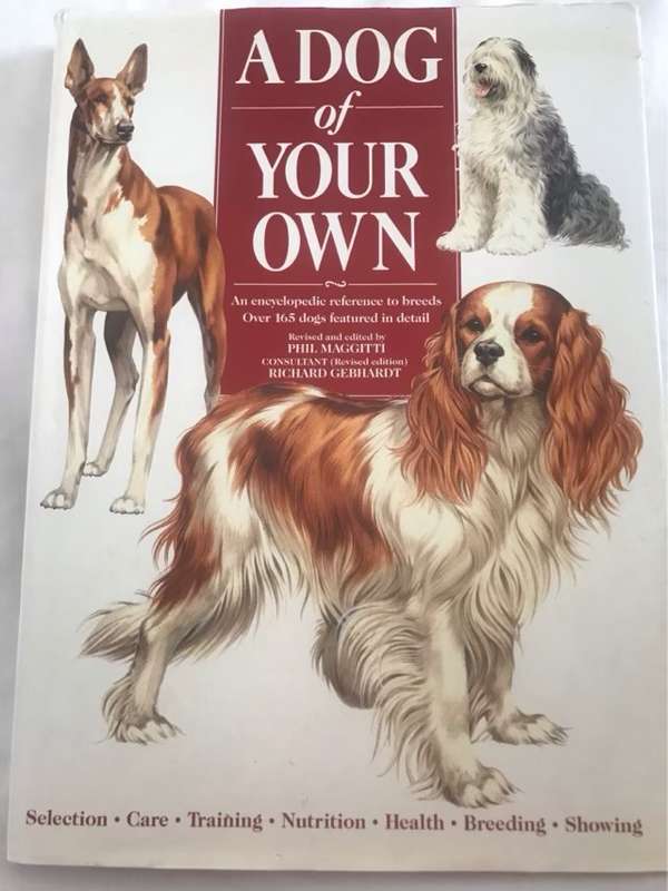 A dog of your own - Joan Palmer