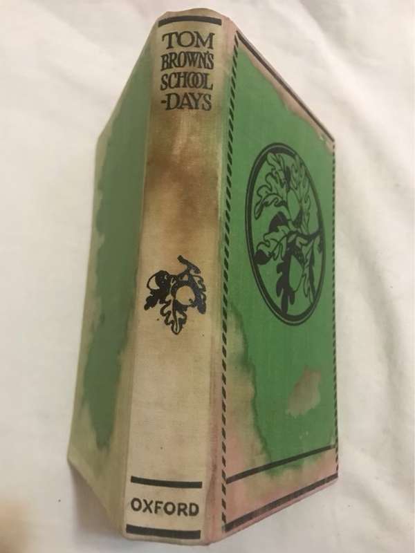 Tom Brown's School Days - An Old Boy