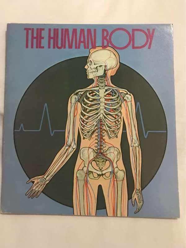 The Human Body - Martin L.Keen