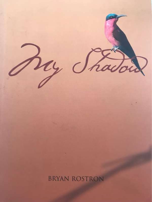 My Shadow - Bryan Rostron