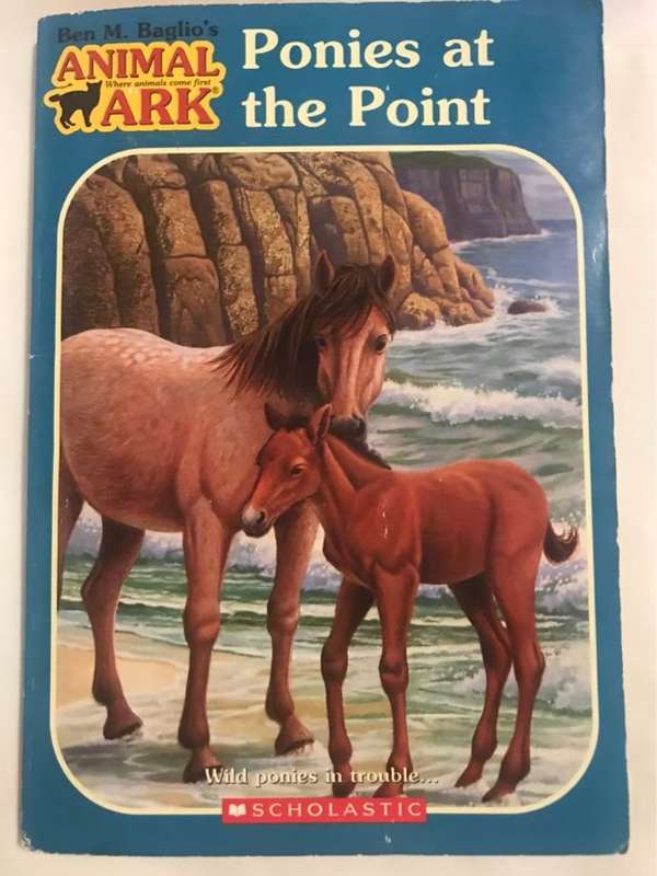 Ponies at the Point - Ben M. Baglio