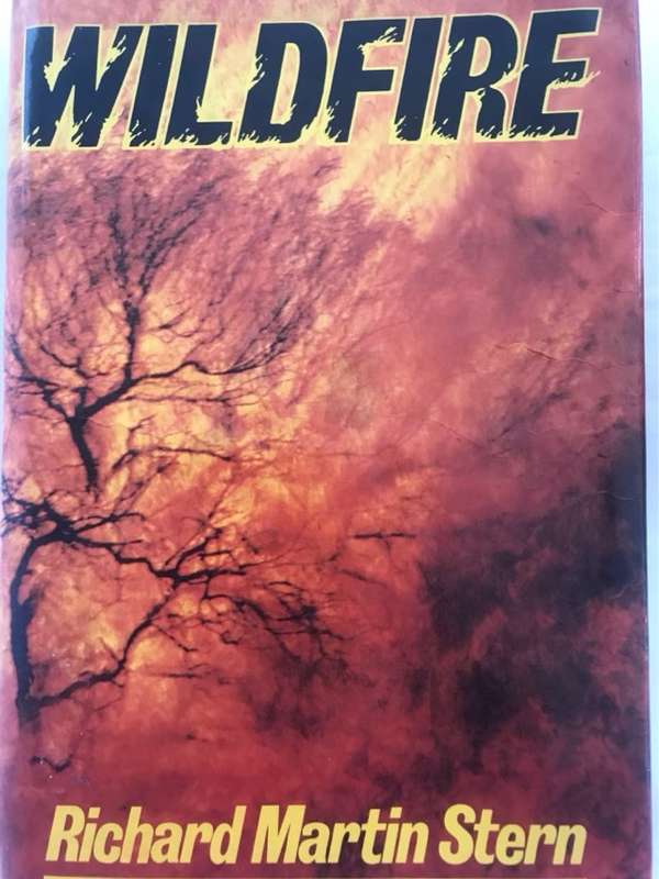 Wildfire - Richard Martin Stern