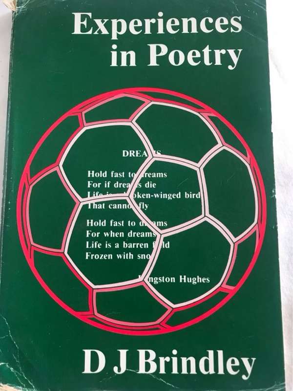 Experiences in Poetry - D.J.Brindley