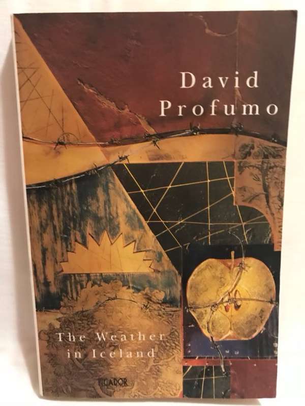 The Weather in Iceland - David Profumo