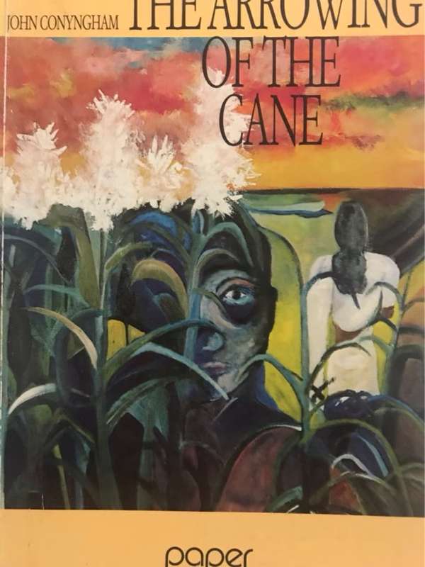 The arrowing of the cane, a novel - John Conyngham