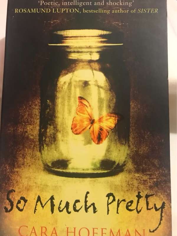 So Much Pretty - Cara Hoffman