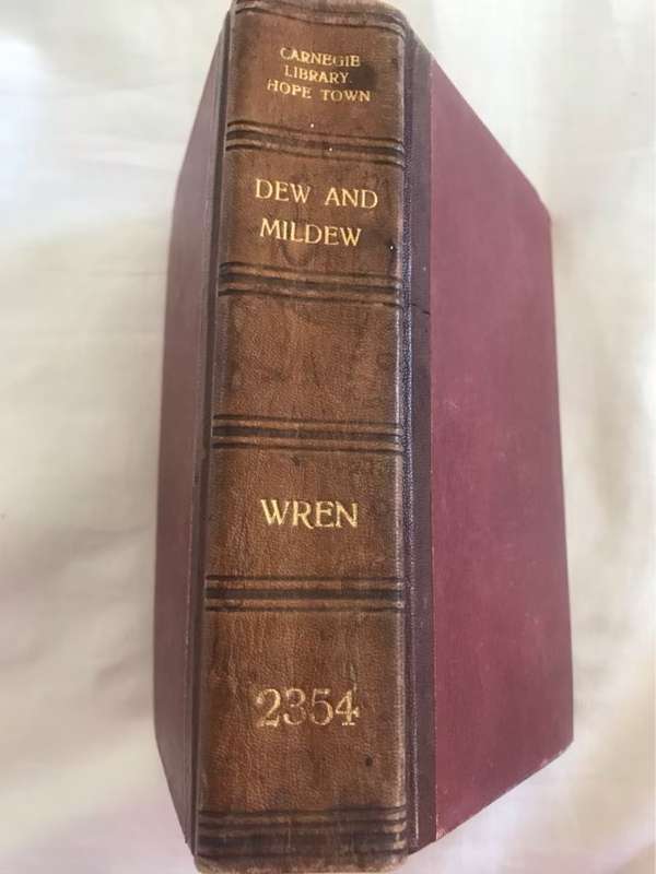 Dew and Mildew, A Loose-Knit Tale of Hindustan - Percival C.Wren