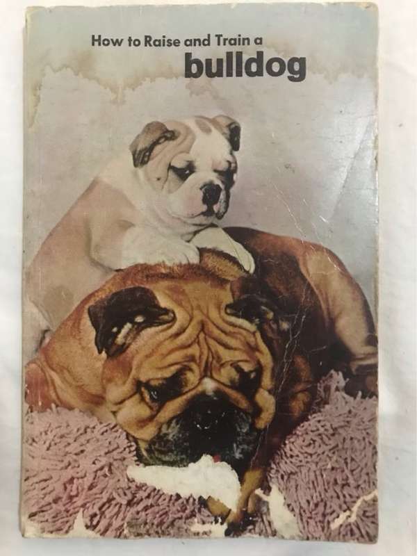 How to Raise and Train a Bulldog - Evelyn Miller