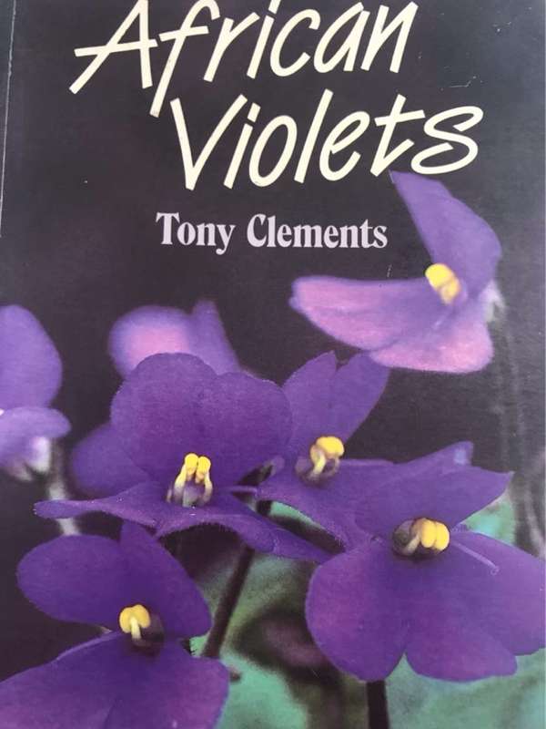 African violets - Tony Clements