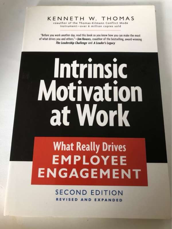 Intrinsic Motivation at Work, What Really Drives Employee Engagement - Kenneth Wayne Thomas