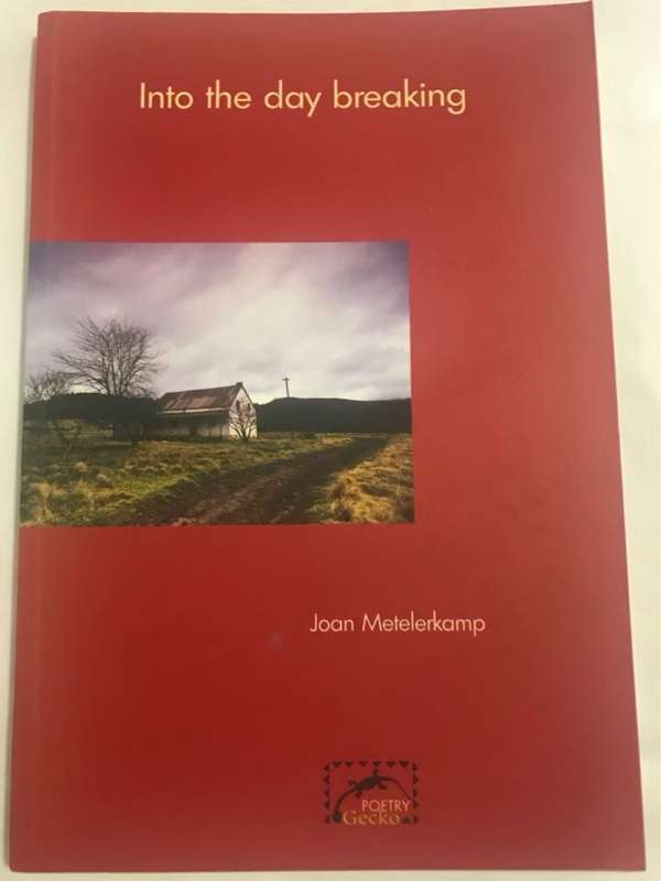 Into the Day Breaking - Joan Metelerkamp