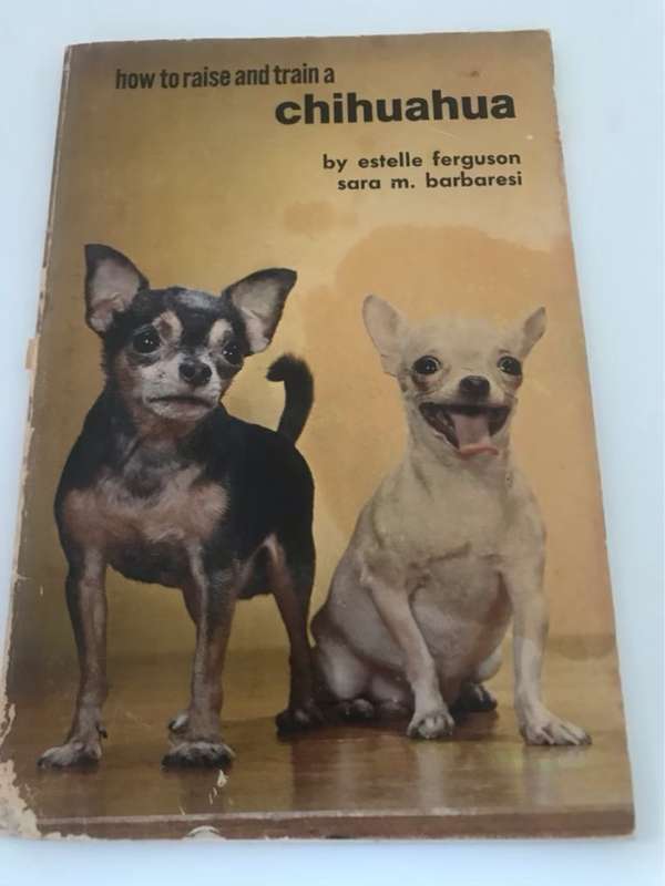 Chihuahua, How to raise and train - Estelle Ferguson and S.M.Barbaresi