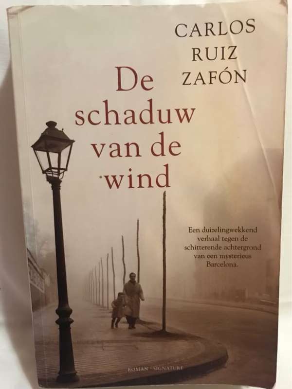 De schaduw van de wind / druk 19 - Carlos Ruiz Zafon